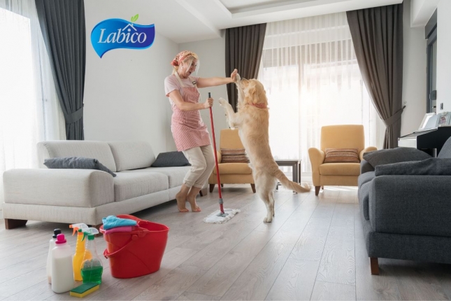 20/06/2024 - How to Keep a Clean Home with Pets: Tips for Using Microfiber Cloths, Mops, Dusters, and Lint Rollers